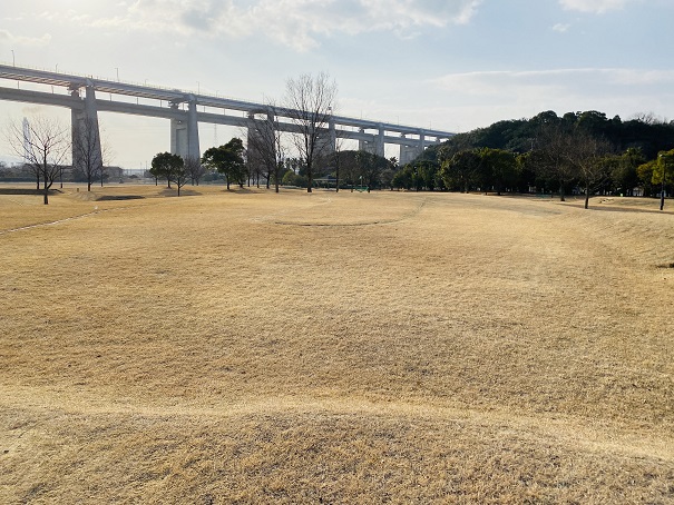 瀬戸大橋記念公園ターゲットバードゴルフ　No.6