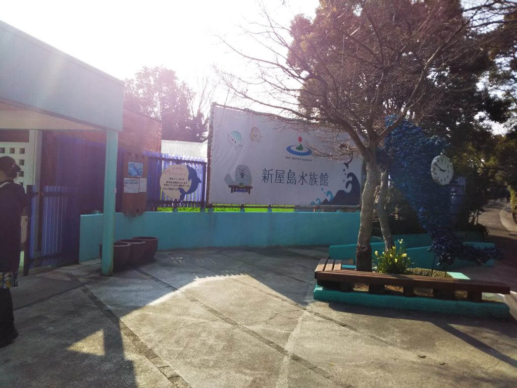 Images Of 新屋島水族館 Japaneseclass Jp