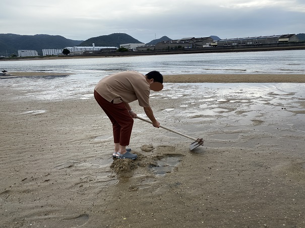 あさりやマテ貝を潮干狩り 四国中国地方のおすすめ編 あははライフ