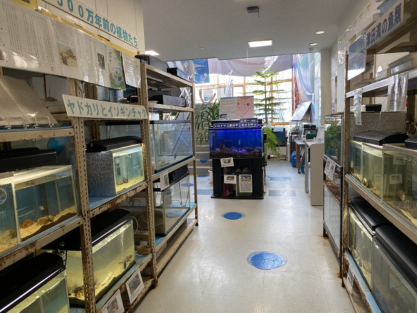 津田湾の魚雨滝自然科学館