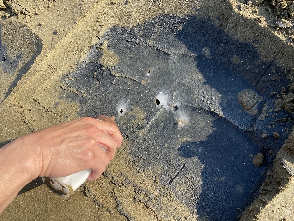 仁尾海岸マテ貝の穴に塩を入れる