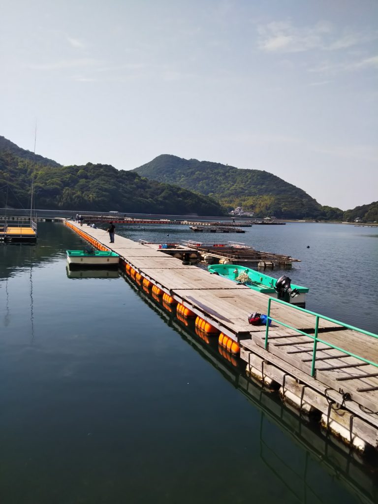 ソルトレイク引田 フィッシュフック 東かがわ市の釣り堀 あははライフ