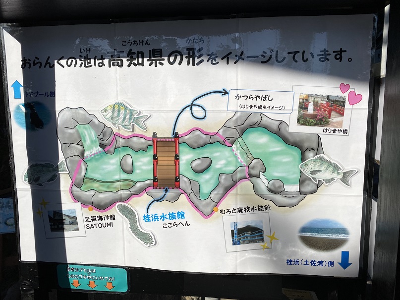 桂浜水族館　おらんくの池案内図