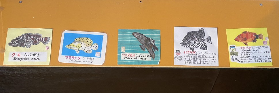 桂浜水族館　海水魚説明