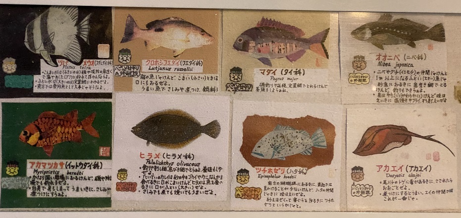 桂浜水族館　大水槽の魚2