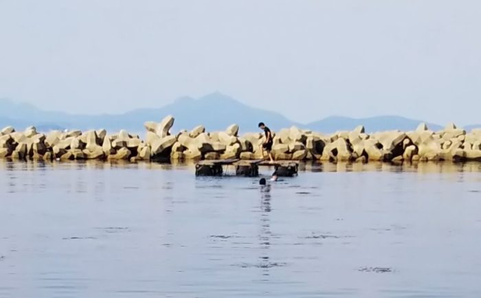興津海水浴場浮島