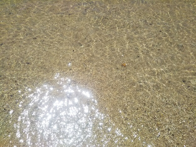 沙弥島海水浴場の水質1