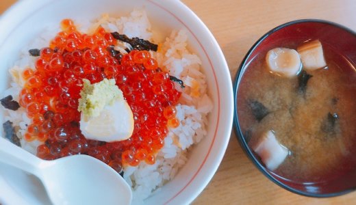 鳥取県 賀露港鮮魚市場かろいち いか太郎で海鮮丼を