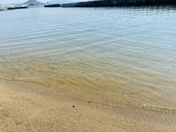 沙弥島海水浴場の透明度