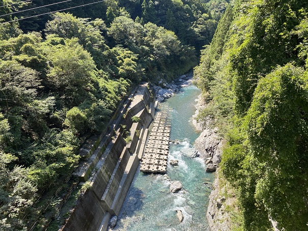 恋人橋から見た穴吹川