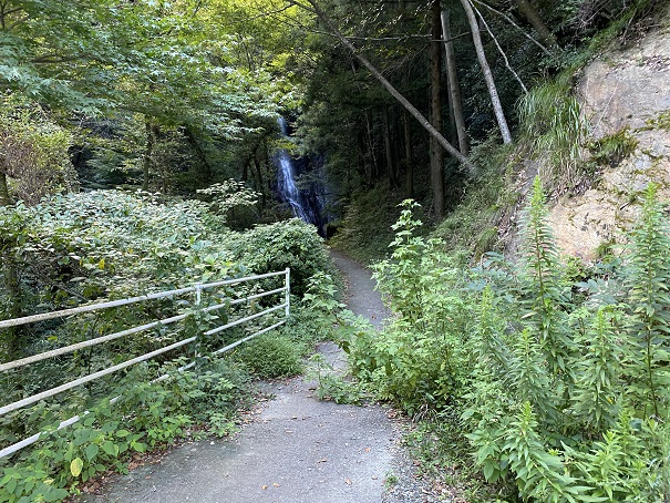 閑定の滝へ続く道