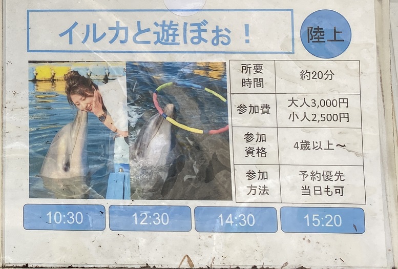 日本ドルフィンセンター　イルカと遊ぼぉ