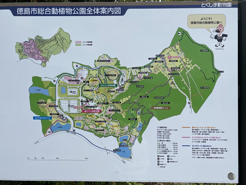 徳島市総合動植物公園全体案内図