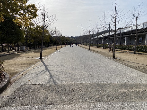 倉敷スポーツ公園ジョギングコース