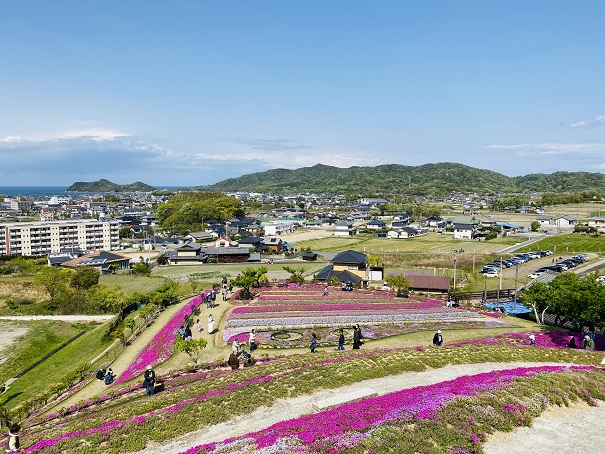 芝桜富士登山5合目の風景