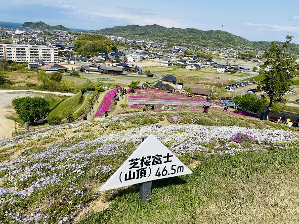 芝桜富士山頂風景