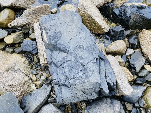 ランプロファイヤ岩脈足元の石