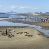 香川県の潮干狩り あさり ハマグリ ニナ貝を取るおすすめ7選