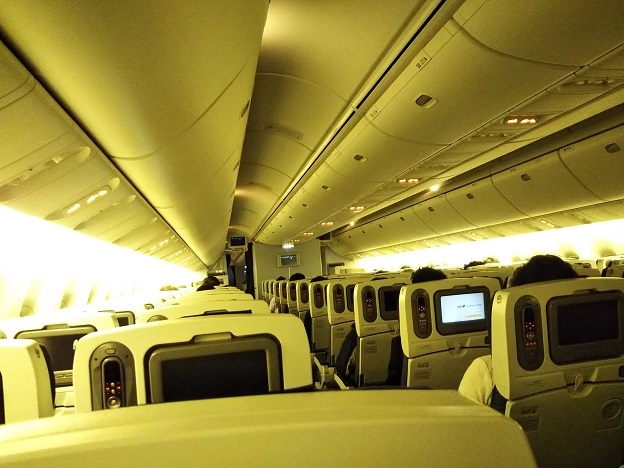 ANAの飛行機の座席はガラガラ