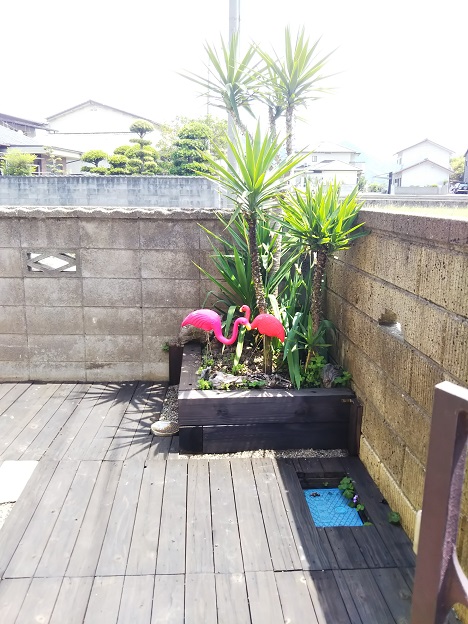 ハレマウマウ　フラミンゴ