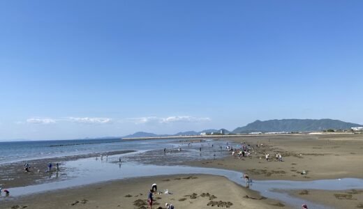 あさり マテ貝の潮干狩り 四国 中国地方おすすめｽﾎﾟｯﾄ12選
