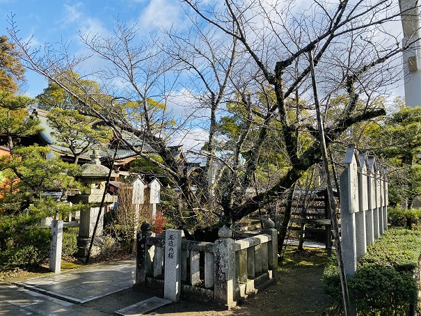 左近の桜田村神社