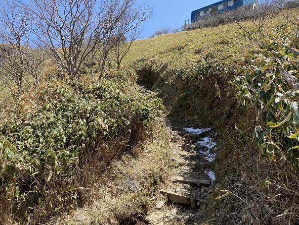 剣山　笹の葉の間の登山道