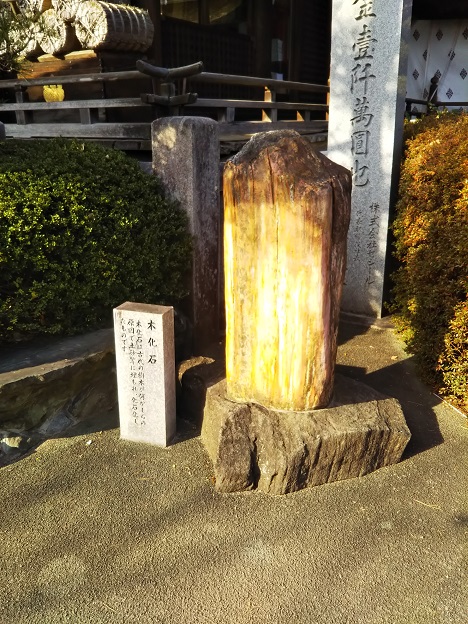 田村神社　木化石