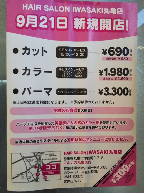 100 ヘアー サロン Iwasaki 料金 Kamigatagaya