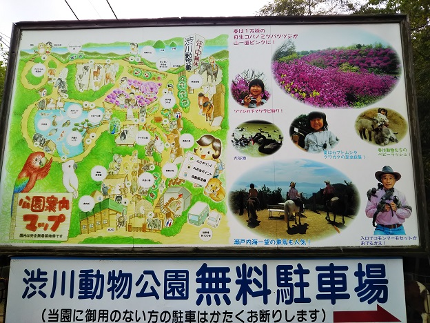 渋川動物公園　案内図