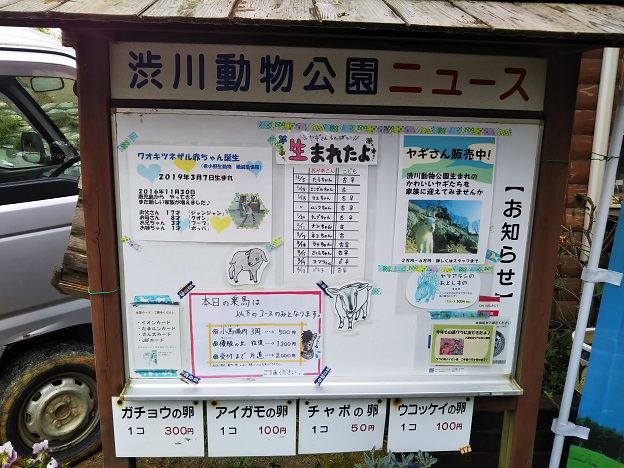 渋川動物公園　ニュース