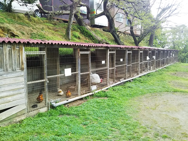 渋川動物公園　鳥小屋