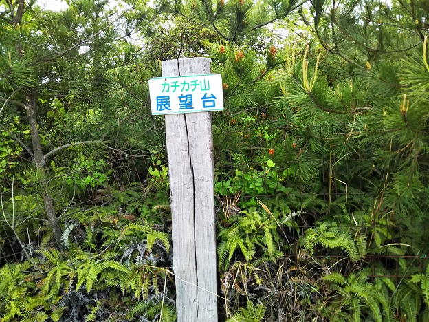 渋川動物公園　展望台