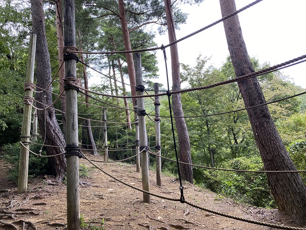神山森林公園天竺のがまんアスレチック