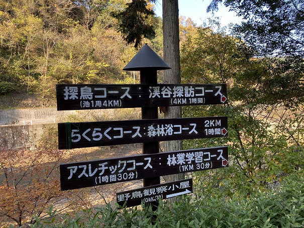 えひめ森林公園遊歩道コース案内