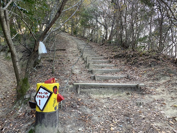 えひめ森林公園アスレチックコース階段