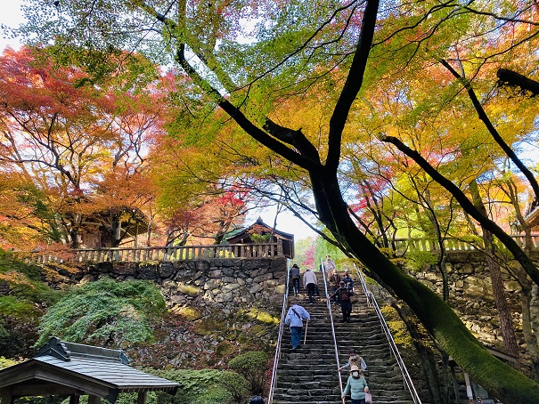 根香寺　山門の先の上り階段