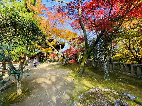 根香寺の色鮮やかな紅葉