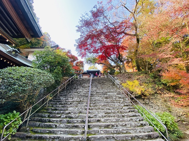 根香寺　本堂への階段
