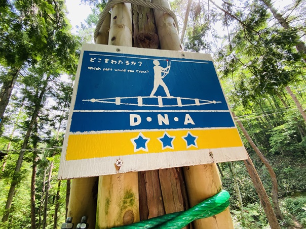 冒険の森ひるぜん　アドベンチャーコース5　DNA