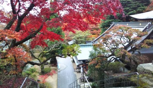 根香寺 紅葉が美しい四国八十八ヶ所第番札所 初詣が出来る高松市五色台のお寺 あははライフ
