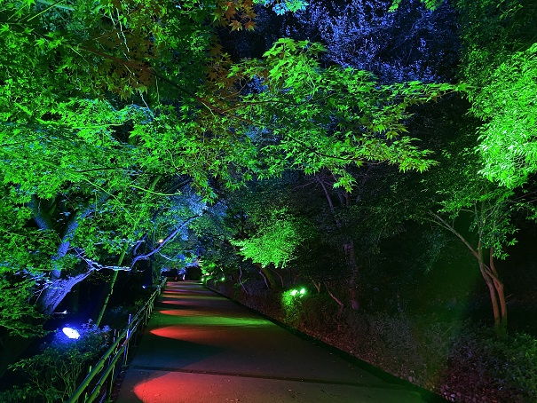 イルミネーション ライトアップ 香川県のおすすめスポット