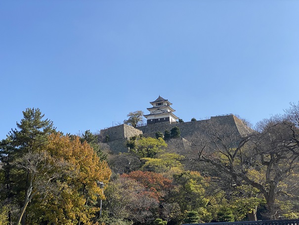 日本一小さい天守閣丸亀城