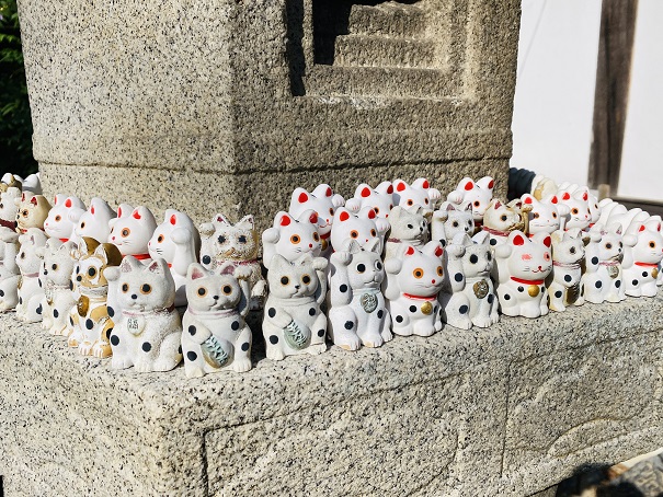 白峯寺の灯篭の招き猫