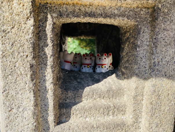 白峯寺の灯篭の中の招き猫