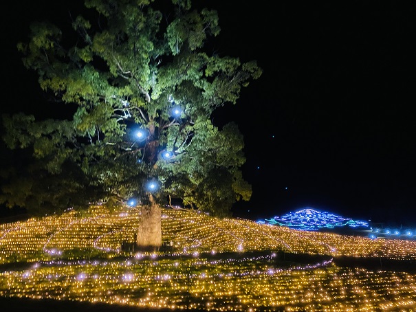 国営讃岐まんのう公園　ウィンターファンタジー　光の樹
