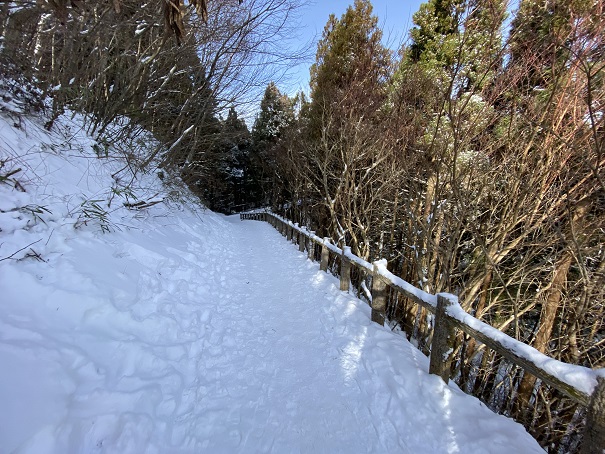 石鎚スキー場の雪道