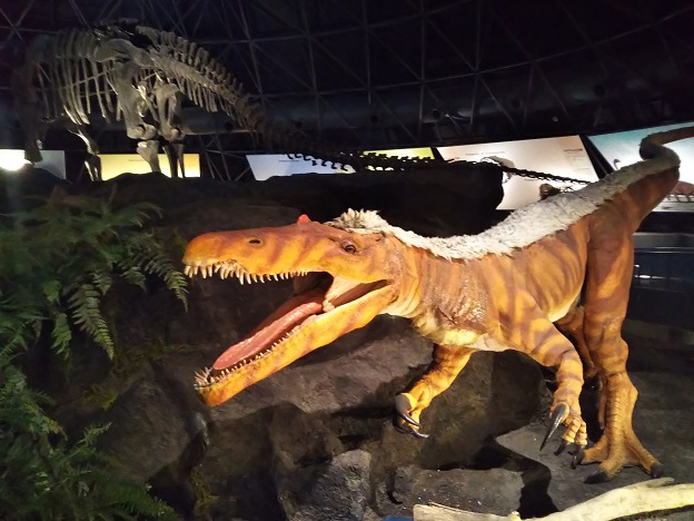 カブトガニ博物館　恐竜