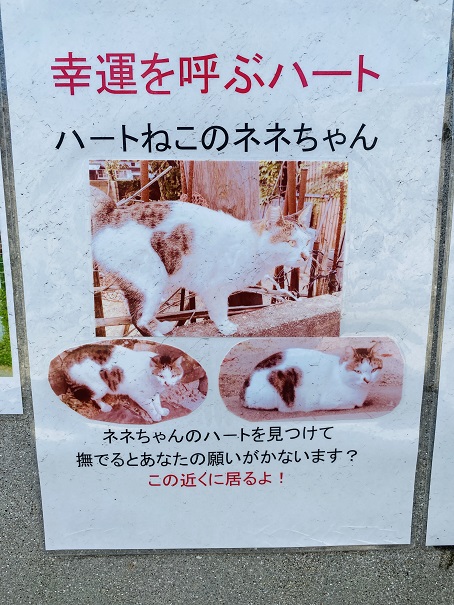 男木島　ハート猫ネネちゃん