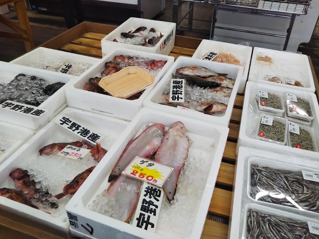 岡山市サウスビレッジ　ローサイドマーケット　魚